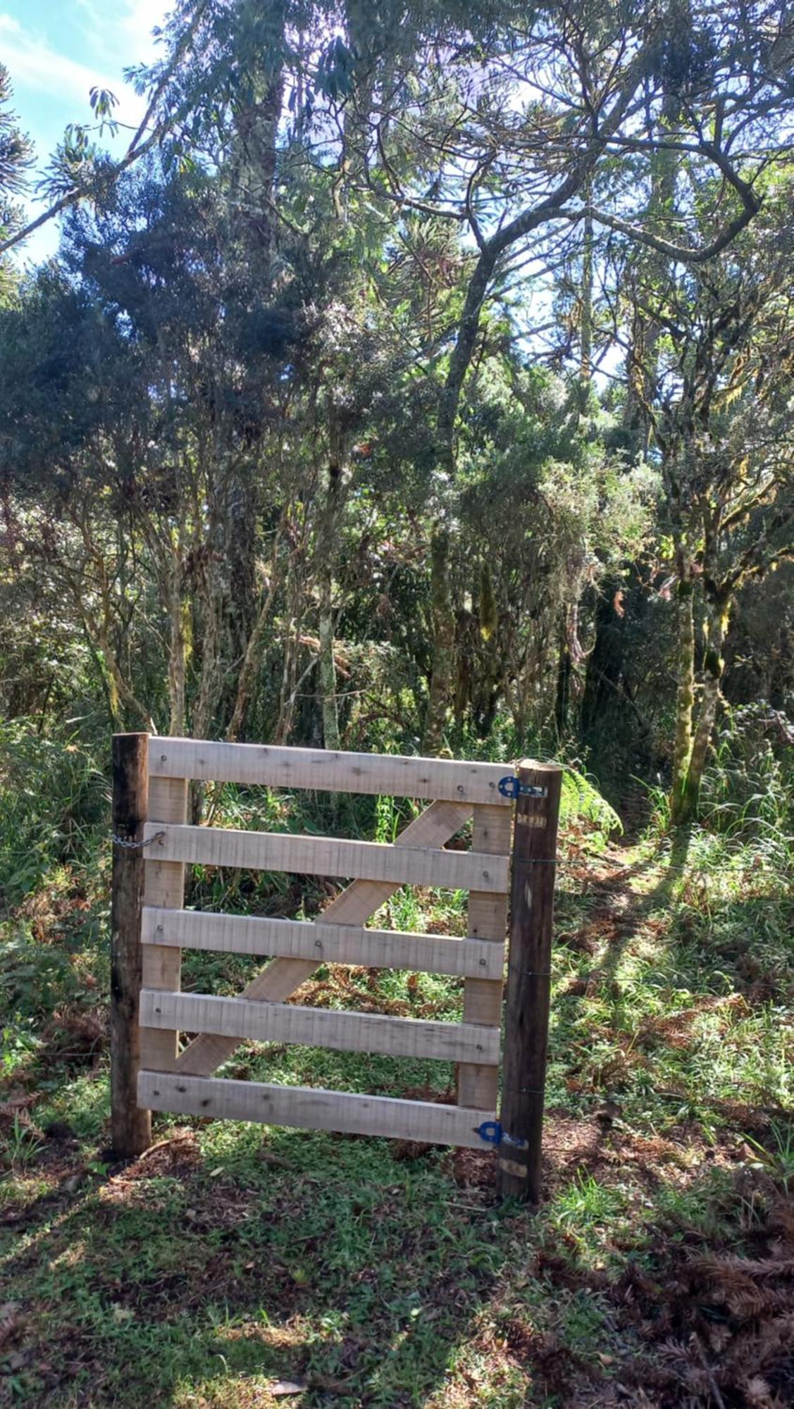 Cabana Na Floresta Rincao Do Fortaleza Cambara Bagian luar foto