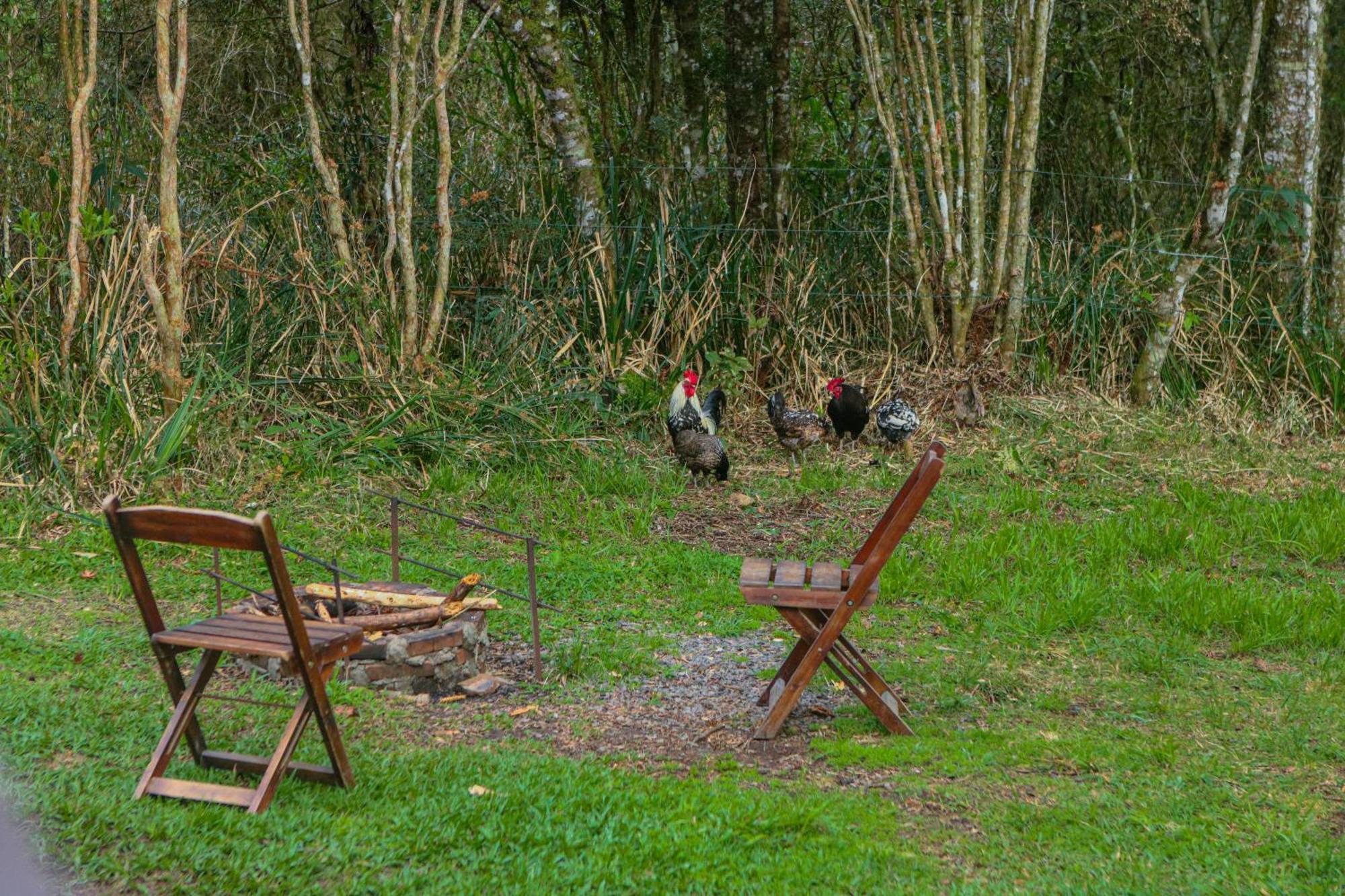 Cabana Na Floresta Rincao Do Fortaleza Cambara Bagian luar foto